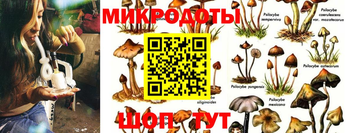 Междуреченск  Псилоцибиновые грибы прущие грибы  Вход с VPN 